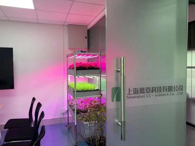 新聞中心的照明設(shè)備 科技與藝術(shù)的交融，打造專業(yè)傳播空間