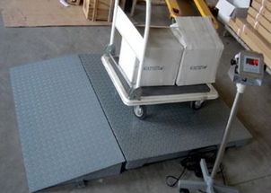 專業(yè)直供 1噸、2噸、3噸電子地磅與配套網(wǎng)絡(luò)技術(shù)服務(wù)，一站式解決方案